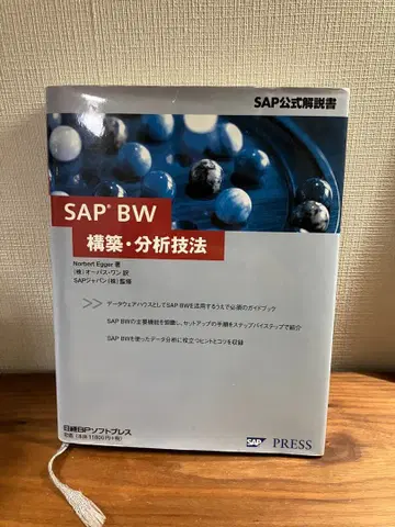 SAP BW 구축 분석 기법