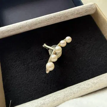 펄 모티브 이어커프