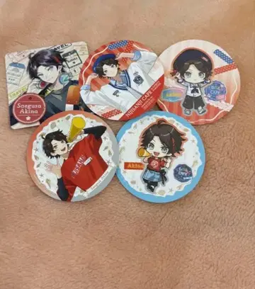 사에구사 아키나 세트 3