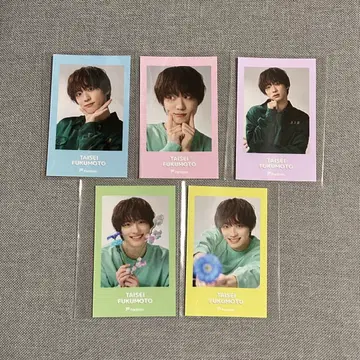 후쿠모토 타이세이 토요스핏 한정 GARA GARA 찬스 브로마이드 컴프