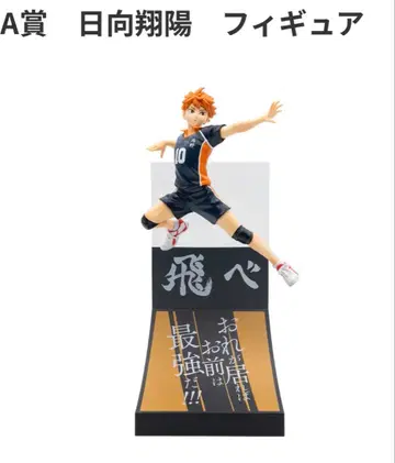 히나타 쇼요 피규어 해피 복권 A상