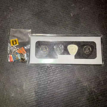 ZONE 투어 굿즈 피그 스트랩