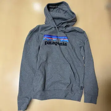 patagonia 그레이 후드 부착 후드티