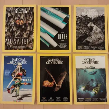 내셔널 지오그래픽 영문판 2024년 12권 세트