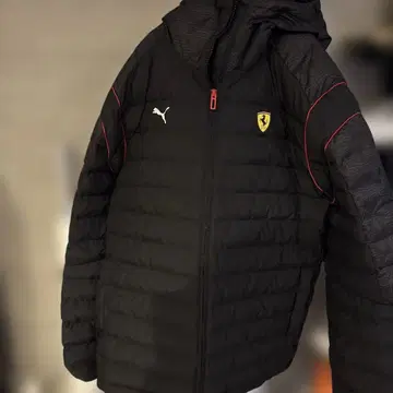 푸마 페라리 다운