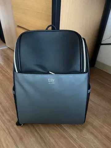 Lily 심플 백팩 블랙/그레이