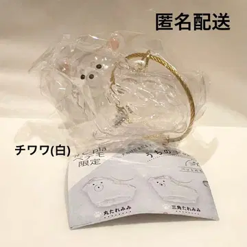 우리 아이 털뭉치 강아지 치와와 화이트