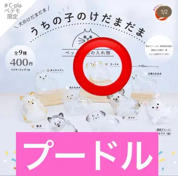 정품 우리 아이 털뭉치 푸들 페테모