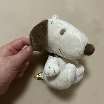 스누피 가마구치