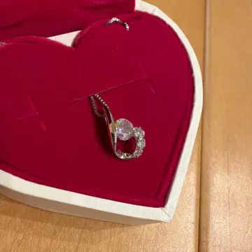 Rubin Rosa 하트형 케이스 포함 목걸이