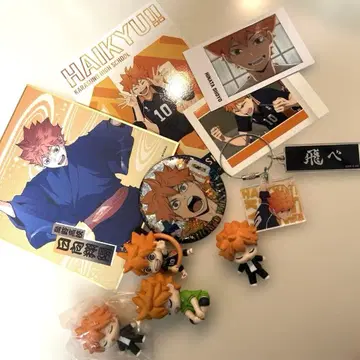 하이큐 히나타 굿즈