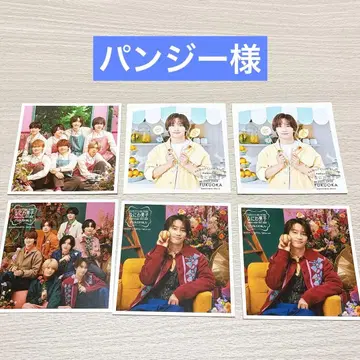 팬지님 마시카쿠 사진 나니와단시 후쿠오카