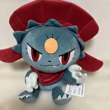 포켓몬스터 마뉴라 데카이 코롯토 만마루 봉제 인형 히캇쿠