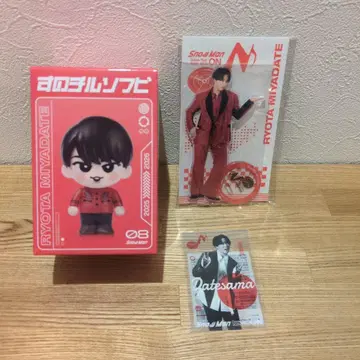 SnowMan ON 아크릴 스탠드 스노치루 소프트 비닐 외 미야타테 료타