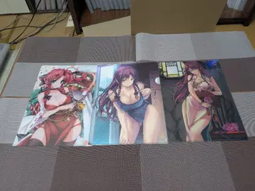 동방project 홍메이링 A4 클리어 파일 3장 세트