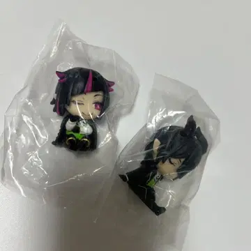 어깨 쿵 2세트 마레우스 릴리아