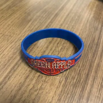 MrsGREENAPPLE ENSEMBLE TOUR 리스트 밴드