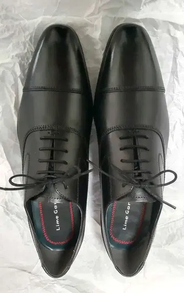 Lime Garden 드레스 슈즈 26.0 EEE [블랙 LGM710]