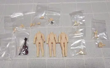 딜러제 1/12 사이즈 바디