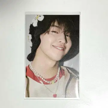 SCawaii! 후지모토 코다이 포토 카드