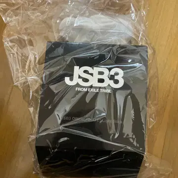 3대 JSB 'MATE' 응원봉