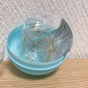 우리 아이 털뭉치 페테모 강아지 푸들 가챠