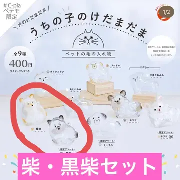 정품 우리 아이 털뭉치 강아지 시바견 블랙 시바 세트 페테모