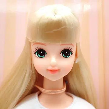 리카짱 캐슬 캐스콜레-34 미라이 NO.11497-519 27cm