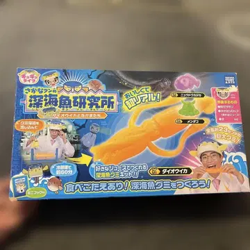 사카나군의 심해어 연구소 대왕오징어와 친구들