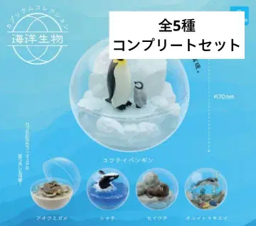 해양 생물 카프리움 컬렉션 5종 세트