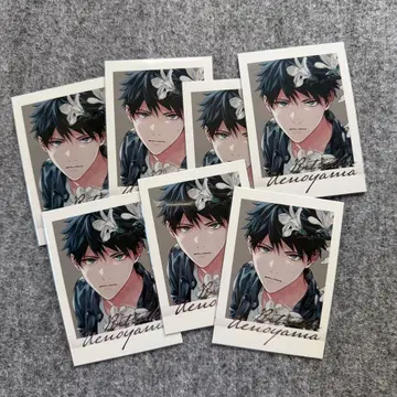 기븐전 파샤코레 릿카 컬러