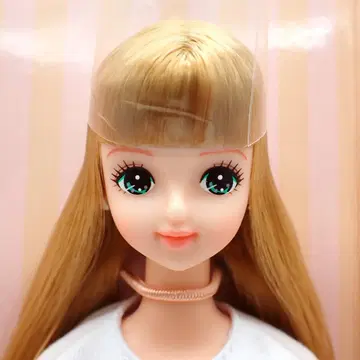 리카짱 캐슬 캐스콜레-34 미라이 NO.11497-736 27cm