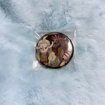 포켓몬 캔뱃지 게치스