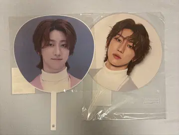 SEVENTEEN THE8 부채