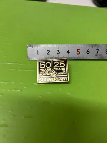 도미노피자 25주년 핀 배지