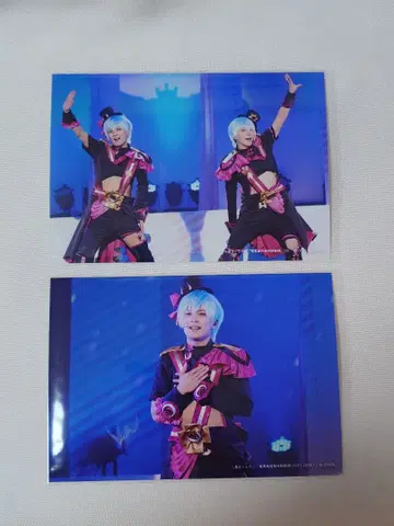 VEPPer 브로마이드