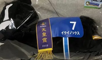 HORSE HEROES A상 이퀴녹스 다이토 복권 봉제 인형