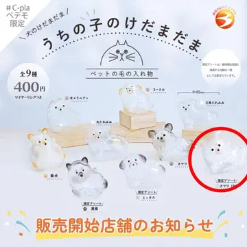 우리 집 반려동물 털뭉치 치와와 (화이트) 페테모 한정판