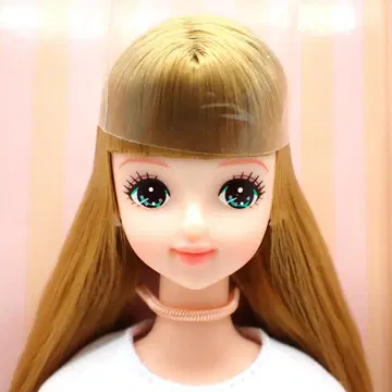 리카짱 캐슬 캐스콜레-34 미라이 NO.11497-635 27cm