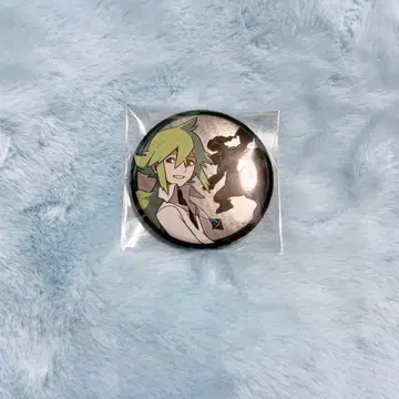 포켓몬 캔뱃지 N
