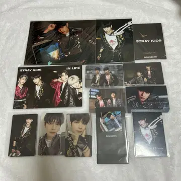 straykids 스키즈 승민 IN생 트레이딩 카드