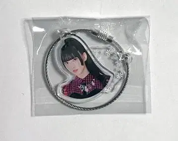 Girls2 Snowflakes 가챠 2단 아크릴 키링 미나미