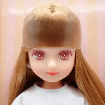 리카짱 캐슬 일본바시 오리지널 모델 팔레트F NO.13749