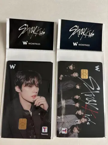 2장 세트 Stray Kids WOWPASS 리노 와우패스 스키즈