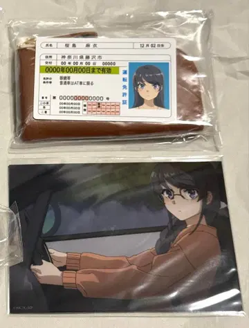 청춘 돼지 녀석은 산타클로스의 꿈을 꾸지 않아 마이 씨 드라이브 세트