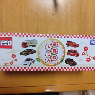 후쿠마이 토미카 2025년 6박스