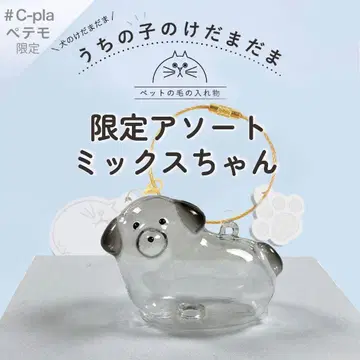 우리 아이 털뭉치 페테모 한정판 모듬 믹스