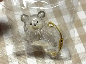 케다마다마 블랙 치와와