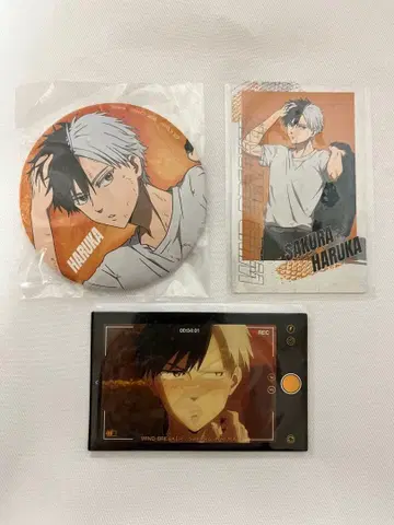 WIND BREAKER 사쿠라하루 세트