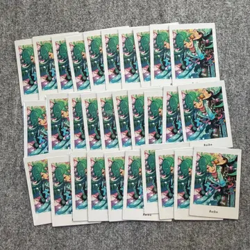 앙스타 파샤츠 vol.6 action 라이카